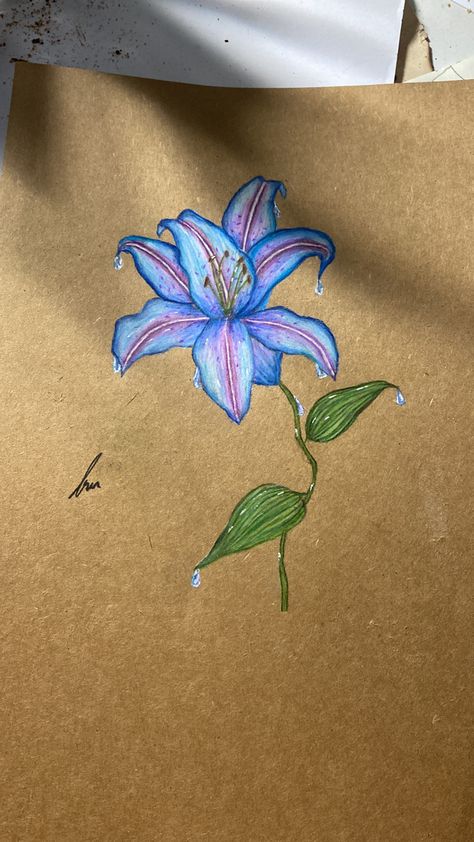 Lily Drawing, Lilies Drawing, Visual Journaling, Purple Lily, Pencil Sketching, Blue Lily, Purple Garden, Flower Sketches, Organic Forms