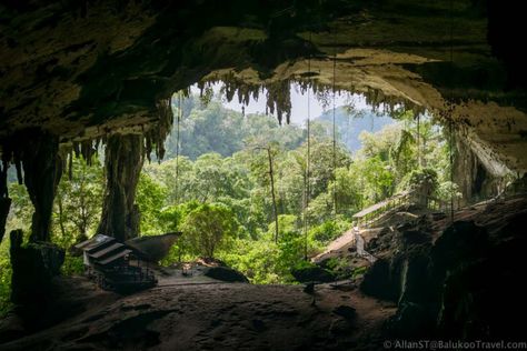 Niah Caves: The West Mouth of the Great Cave. The archeological Cave Landscape, Miri Sarawak, Temple Ruins, Covered Walkway, Malaysia Travel, Lovely Places, Places Around The World, Free Time, Scuba Diving