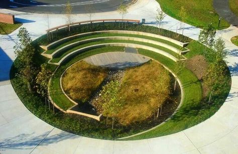 Amphitheater w/ Bio-retention Urban Balcony, Landscape Gardening, Modern Landscape, Landscape Architecture Design, Outdoor Classroom, Rain Garden, Different Plants, Landscape Projects, Urban Planning