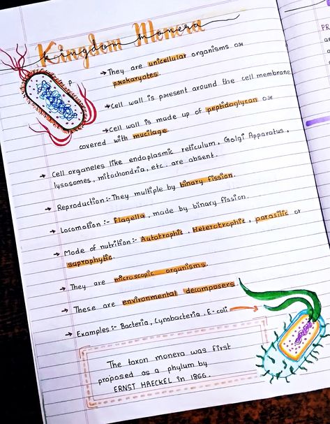 Botany Notes Aesthetic, Class 11 Biology Notes, Cell Biology Notes, Neet Aspirant, Neet Notes, Biology Diagrams, Learn Biology, Study Biology, Biology Facts