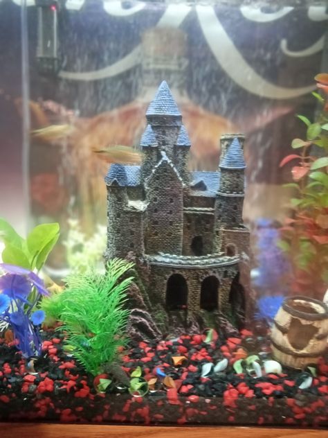 Castle Aquarium Ideas, Fish Tank Castle, Tank Reference, Goldfish Bowl, Reference Pics, Fish Tank Decorations, Miniature Crafts, Fish Bowl, Zen Garden