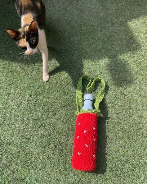 Crochet Strawberry Water Bottle Holder Pattern Free, Strawberry Water Bottle, Water Bottle Holder Crochet, Strawberry Beer, Fruit Water Bottle, Beer Coozie, Strawberry Water, Crochet Water Bottle Holder, Crochet Strawberry