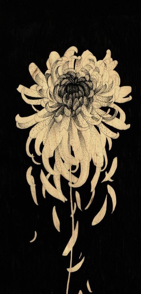 Alessandra Maria... | Kai Fine Art Negative Space Drawing, Crisantemo Tattoo, Style Tattoo, Symbolic Tattoos, Art And Illustration, Art Website, Negative Space, Chrysanthemum, Flower Drawing