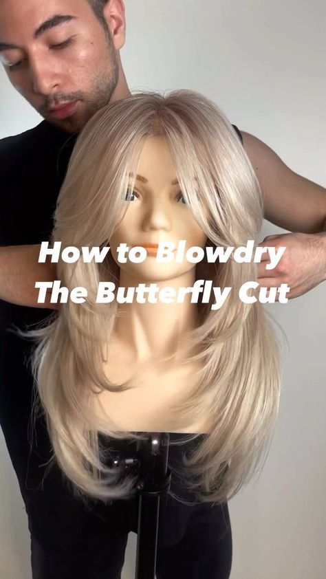 Gilad | Hair Video Education on Reels | San Holo · Out Of Options The Butterfly Haircut, Bangs Side, Butterfly Haircut, Butterfly Cut, Beach Hairstyles For Long Hair, Big Forehead, Hairstyles For Layered Hair, Blowout Hair, Hair Mousse