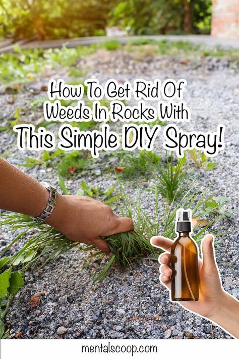 Home, Garden & DIY Weed Barrier, Garden Weeds, Diy Sprays, What To Use, River Rock, Garden Diy, Simple Diy, Mulch, Rock Garden