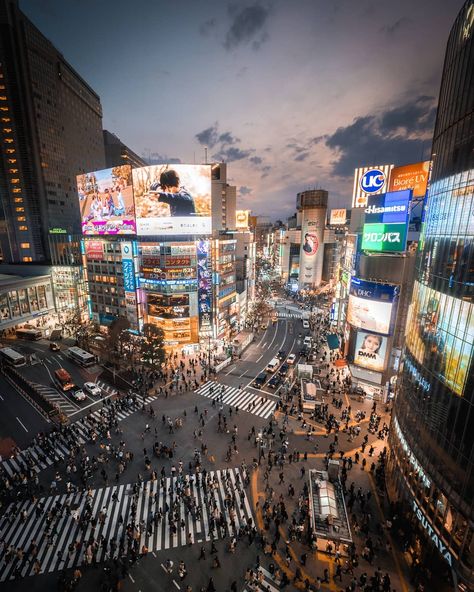 Tokyo From Above, Japan Cinematography, City Lights Wallpaper, 4k Desktop Wallpapers, Shibuya Crossing, Tokyo City, Big City, Tokyo Japan, City Life