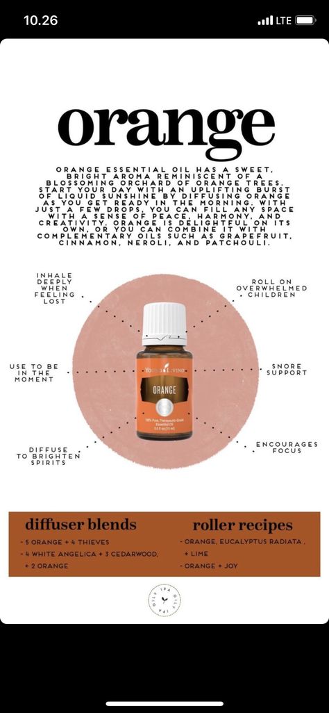 Here'a guide and benefit of orange! Orange Essential Oil Young Living, Orange Recipes, Orange Essential Oil, Orange Oil, Losing A Child, Diffuser Blends, Young Living Essential Oils, Young Living, Essential Oil