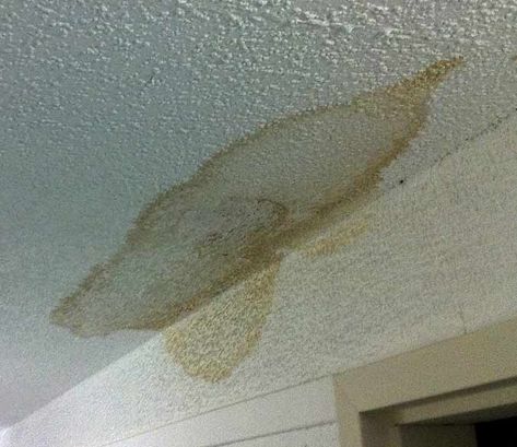 Popcorn Ceiling Repair, Water Stain On Ceiling, Painting Popcorn Ceiling, Water Damaged Ceiling, Stucco Ceiling, Remove Water Stains, Removing Popcorn Ceiling, Water Damage Repair, Oil Based Stain