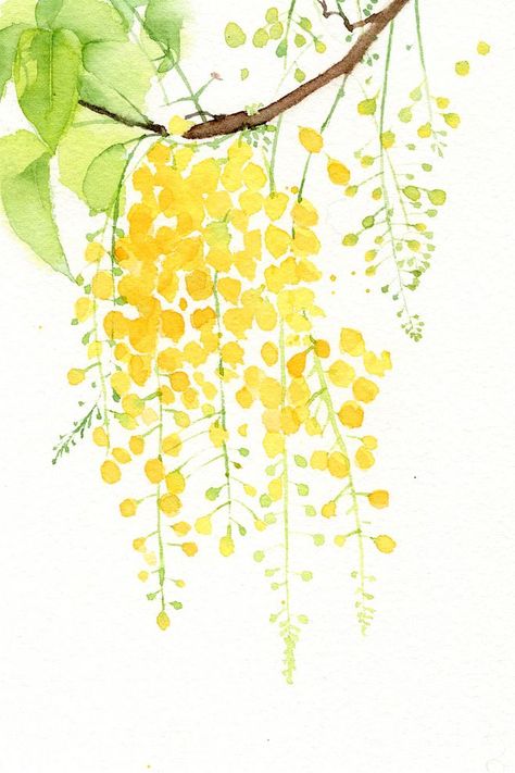 Akvarel Illustration, Yellow Flowers Painting, Watercolor Paintings For Beginners, Watercolor Paintings Easy, Watercolor Flower Art, 수채화 그림, Watercolor Art Lessons, Watercolor Flowers Paintings, Watercolor Paintings Tutorials