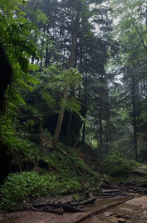 Hocking Hills Ohio, Hocking Hills, Monday Night, Pretty Places, Travel Usa, Ohio, Forest, Wood, Photography