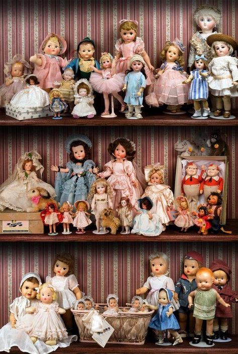 Dolls Display Collections, Doll Display, Madame Alexander Dolls, Alexander Dolls, Tiny Dolls, Old Dolls, Hello Dolly, Waldorf Dolls, Doll Collection