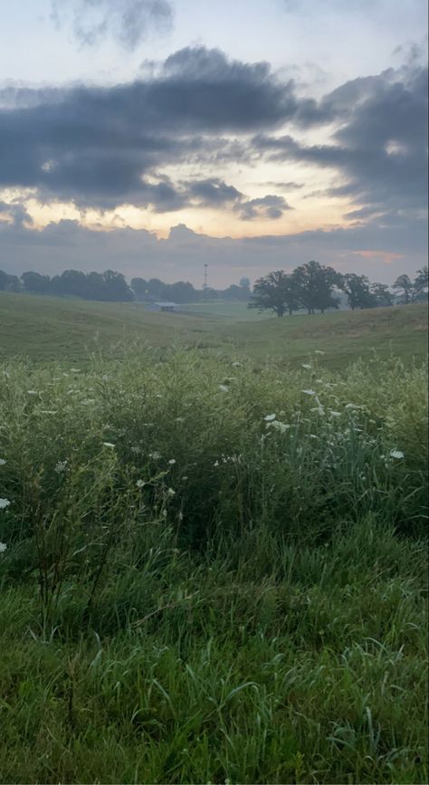 Dewy Morning Aesthetic, Stormy Meadow, Dewy Aesthetic, Spring Morning Aesthetic, Meadow Aesthetic, Dewy Morning, Meadow Background, Environment References, Cloud Photography