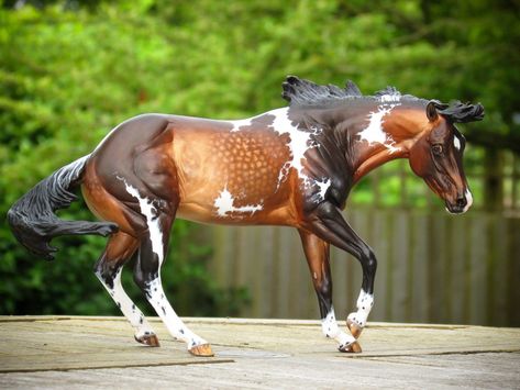 ♞Pinterest ➝ LimitlessSkyy♘ Breyer Horse Display, Diy Horse Barn, Horse Custom, Bryer Horses, Horse Coat Colors, Barrel Racing Saddles, Horse Coats, Horse Show Clothes, Breyer Horse