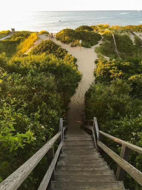 Steps Beach | Nantucket, MA Nantucket Beach, Amazing Beaches, Point Light, Fall Travel, Sand Dunes, Beach Fun, Nantucket, Travel Guides, East Coast