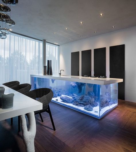 Îlot de cuisine au design revisité selon les tendances actuelles Modern Konyhatervezés, Amazing Aquariums, Interior Design Per La Casa, Home Aquarium, Aquarium Design, Cool Ideas, Minimalist Kitchen, Minimalist Bedroom, Minimalist Decor