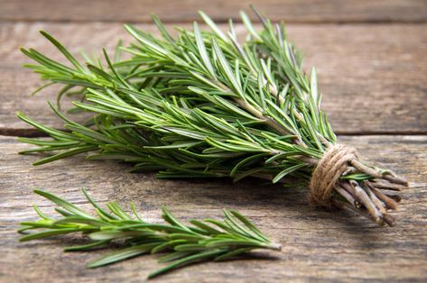 Does this herb hold the secret to a long life? Growing Rosemary, Double Menton, Immune Boosting Foods, Blood Pressure Medications, Rosmarinus Officinalis, Inflammatory Foods, Essential Oils Rosemary, Herb Seeds, Heirloom Seeds