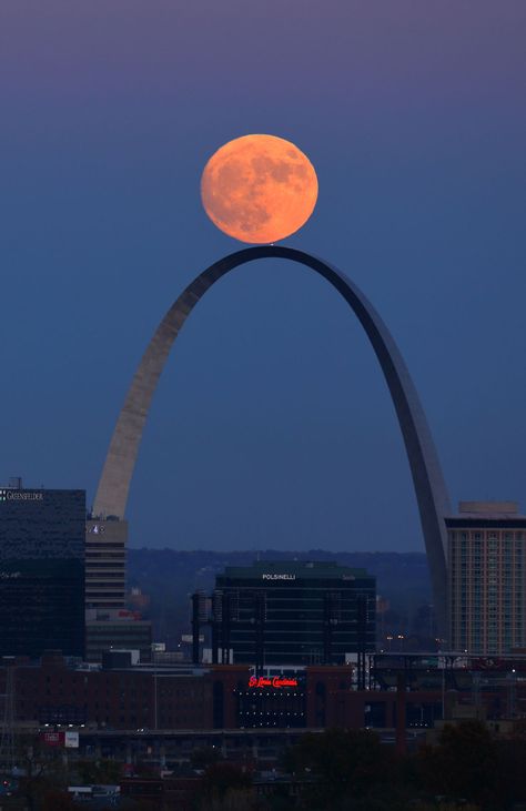 Supermoon over St. Louis Saint Louis Arch, St Louis Arch, The Gateway Arch, Matka Natura, Fotografi Kota, Shoot The Moon, Gateway Arch, Moon Pictures, Moon Photography