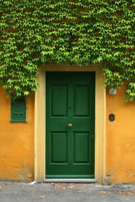 Victorian Terrace Hallway, Yellow Kitchen Cabinets, Green Front Doors, Window Box Flowers, Gorgeous Doors, Flower Window, Entrance Door Design, Green Door, Arts Crafts Style