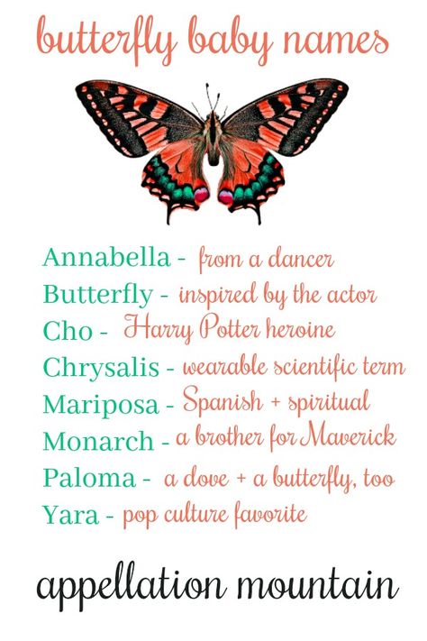 Butterfly #babynames. Because I really hope someone uses Mariposa!   If you love unexpected #naturenames, this list is for you. Aesthetics Names, Love Unexpected, Butterfly On A Flower, Names Character, Boy Name Meanings, Nature Names, Children Names, Girl Names With Meaning