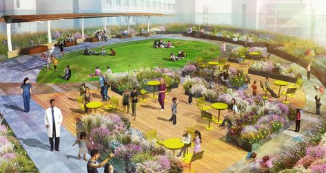 Healing Garden Design, Boston Childrens Hospital, Garden Business, Rooftop Design, Children Hospital, Healing Garden, Hospital Interior, Landscape Architecture Design, Rooftop Garden