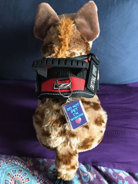 Hyena Plush, Emotional Support Stuffed Animals, Build A Bear Outfits, Looking For Friends, Service Dogs Gear, Emotional Support Dog, Emotional Support Animal, Cat Plush Toy, Cat Plush