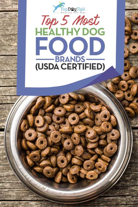 Top 5 Most Healthy Dog Food Brands in 2016 (USDA Organic Certified). Dog owners are finally starting to realize that the diet they feed their pet is ultimately the best thing they can do for his overall health. For many years, cheap commercial diets have been growing in popularity, but now that pendulum is beginning to swing the other way. More and more pet owners are looking for the most healthy dog food brands, and many want their dog to eat a food that has been Certified Organic by the USDA. Healthy Dog Food, Best Dog Food Brands, Organic Dog Food, Puppy Tips, Benefits Of Organic Food, Puppy Time, Genetically Modified Food, Dog Foods, Organic Fruits And Vegetables