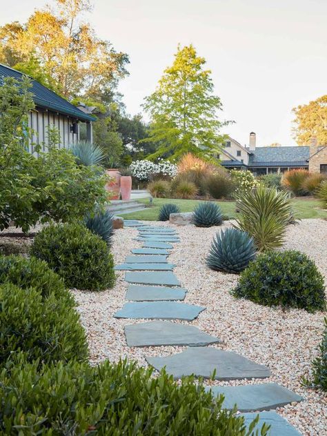 California Backyard, Taman Air, Low Water Gardening, Drought Tolerant Garden, Mediterranean Plants, California Garden, Desain Lanskap, Stone Path, Landscape Architecture Design