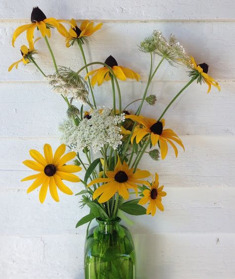 summer pasture bouquet Black Eyed Susan Wedding Bouquet, Coneflower Bouquet, Queen Annes Lace Bouquet, Daisies Wedding, Vermont Summer, Party Boards, Black Eyed Susan Flower, Black Eyed Susans, Lace Bouquet