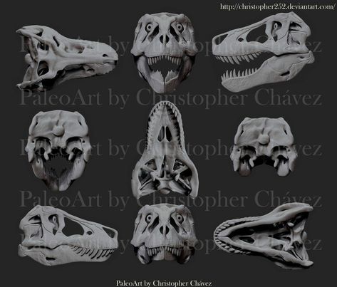 Dinosaur Tattoos, Skeleton Drawings, Dinosaur Skeleton, Raven Art, Paleo Art, Dinosaur Art, Prehistoric Creatures, Prehistoric Animals, A Level Art