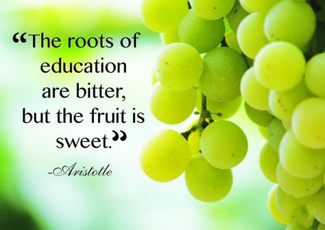 "The roots of education are bitter, but the fruit is sweet." - Aristotle #education #educationquotes Education Quotes Inspirational, Education Organization, Education Motivation, Education Quotes For Teachers, Education Kindergarten, Super Healthy Recipes, Education English, Quotes For Students, Elementary Education