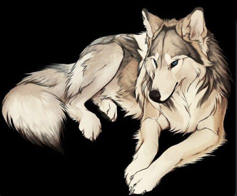 Werewolf Pack, Wolf With Blue Eyes, Canine Drawing, Wolf Character, Warrior Cats Art, Wolf Drawing, Canine Art, Wolf Pictures, Anime Wolf