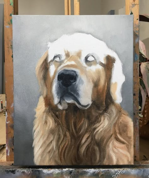 How to Paint a Golden Retriever [Video Demo] - Dog Paintings Golden Retriever, How To Paint A Golden Retriever, Golden Retriever Painting Acrylics, Dog Face Paint, Water Colour Painting Ideas, Colour Painting Ideas, Dog Face Paints, Rock Painting Dogs, Golden Retriever Drawing