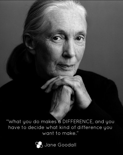 Jane Goodall (1934) is an English primatologist, ethologist, anthropologist, and UN Messenger of Peace. She is considered to be the world's foremost expert on chimpanzees. Jane is best known for her 45-year study of social and family interactions of wild chimpanzees in Tanzania. Study Project, Women Scientists, Elementary Lesson Plans, Jane Goodall, Wild Woman, White Photos, Inspirational People, Inspirational Women, Role Models