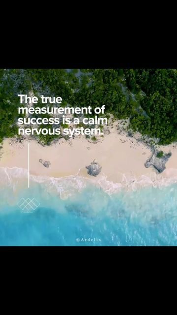 The true measure of success is a calm nervous system. How do you define success? Calm Nervous System, Define Success, September 1, Brain Health, Self Healing, Change Your Mind, Nervous System, Inspiring Quotes, You Changed