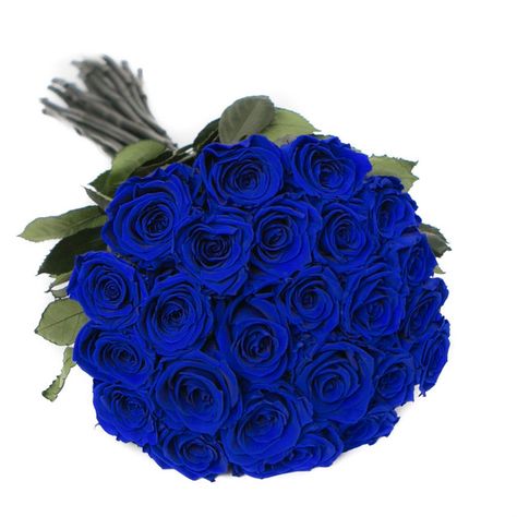 Dozen Of Roses, Royal Blue Roses, Roses For Her, The Million Roses, Long Stem Rose, Million Roses, Long Stem Roses, 12 Roses, Dozen Roses