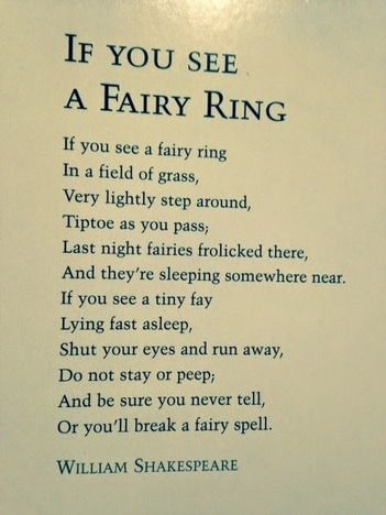 Picture I tell my grand daughter.to watch Your step the fairy's are around .when I see wild mushrooms .I tell her they r busy fixen up home... Meadow Sweet, Fairy Ring, The Poem, Ring, Quotes