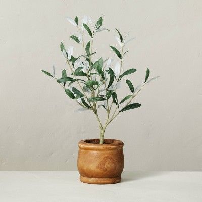 16" Faux Olive Leaf Potted Plant - Hearth & Hand™ With Magnolia : Target Hearth And Hand With Magnolia, Olive Plant, Faux Olive Tree, Wood Pots, Hearth & Hand With Magnolia, Artificial Floral Arrangements, Artificial Potted Plants, Leaf Plant, Artificial Leaf