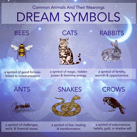 Wicca Academy on Instagram: “Each and every animal on this planet has a meaning when we dream of them. A dream about animals can be either positive or negative,…” Animals And Their Meanings, Spirit Animal Meaning, Animal Meanings, Wiccan Magic, Witch Spirituality, Ginger Smoothie, Wiccan Spell Book, Witchcraft Spell Books, Animal Symbolism