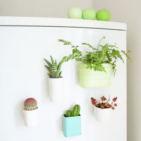 Fridge Garden DIY Magnet Planter, Diy Hanging Planter, Diy Magnets, Vertical Garden Indoor, Fridge Decor, Rainy Day Crafts, Vertical Garden Diy, Support Plante, Herbs Indoors