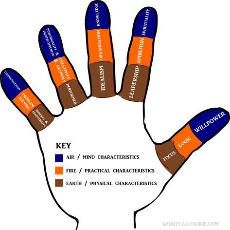 Palmistry: Reading Finger Signs & Meaning of Parts of Fingers | Spiritual Cookie Clairvoyant Psychic Abilities, Finger Meaning, Palmistry Reading, Job Inspiration, Sign Meaning, Blemish Remover, Index Finger, Spiritual Meaning, Finger Tattoos