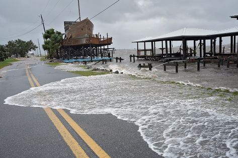 Why hurricane storm surges are so dangerous Wall Of Water, Rain Falling, Heavy Rainfall, Lesser Antilles, Storm Surge, Tropical Storm, French Bulldog Puppies, Epic Journey, Gulf Of Mexico