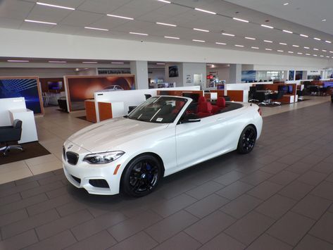 2020 BMW M240i Convertible (F23) by GermanIdolGod on DeviantArt Bmw M240i Convertible, M240i Bmw, Tmax Yamaha, Bmw Dealership, Bmw 2 Series, Bmw 4 Series, Bmw 2, Bmw 1 Series, Rear Wheel Drive