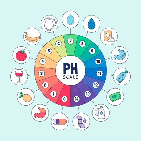 Premium Vector | Hand drawn ph scale infographic Ph Scale Project Ideas, Ph Scale, Scale Drawing, Body Skin Care Routine, Vector Hand, Body Skin, Body Skin Care, Study Tips, Care Routine