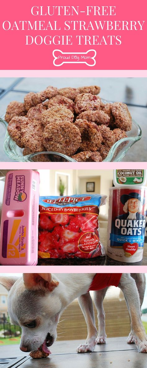 Gluten-Free Oatmeal Strawberry Doggie Treats | Homemade Healthy Dog Treats | DIY Dog Treats | Gluten-Free Recipes | Diy Dog Treats Healthy, Oatmeal Strawberry, Dogs Treats, Doggie Treats, Gluten Free Oatmeal, Food Dog, Diy Dog Treats, Puppy Treats, Dog Cookies