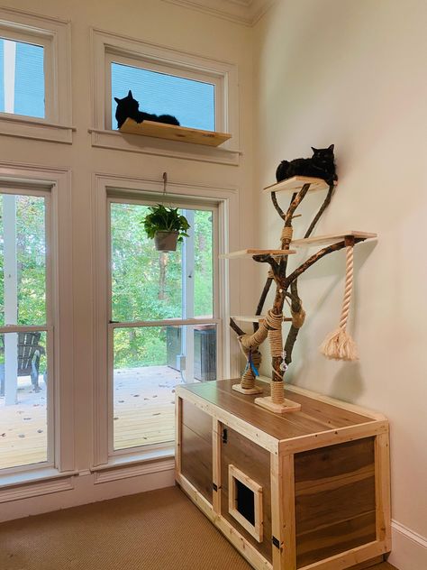 Natural wood and real trees, sisal rope, bringing the outdoors inside. Homemade Cat Litter Boxes, Cat Tree Litter Box Combo, Litter Box Cat Tree, Cat Tree With Litter Box Ideas, Cat Trees Homemade, Diy Cat Shelves, Household Crafts, Diy Litter Box, Diy Cat Tower