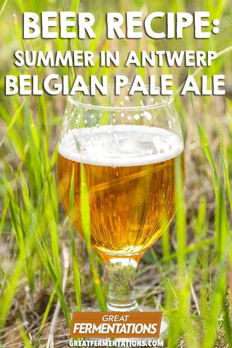 Summer in Antwerp Belgian Pale Ale Recipe :: Great Fermentations Making Alcohol, Homemade Ginger Ale, Beer Brewing Recipes, Ale Recipe, Making Beer, Belgian Ale, Fruit Beer, Beer Recipe, Making Wine