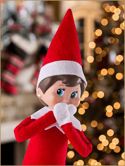 What To Do If Your Elf is Touched – The Elf on the Shelf Elf On The Shelf Wallpaper, Christmas Wallpaper Elf On The Shelf, Elf On The Shelf Wallpapers, Elf On The Shelf Backgrounds, The Elf On The Shelf, Elf Is Back Ideas, Thanksgiving Napkin Folds, Simple Thanksgiving Table Decor, Paper Napkin Folding