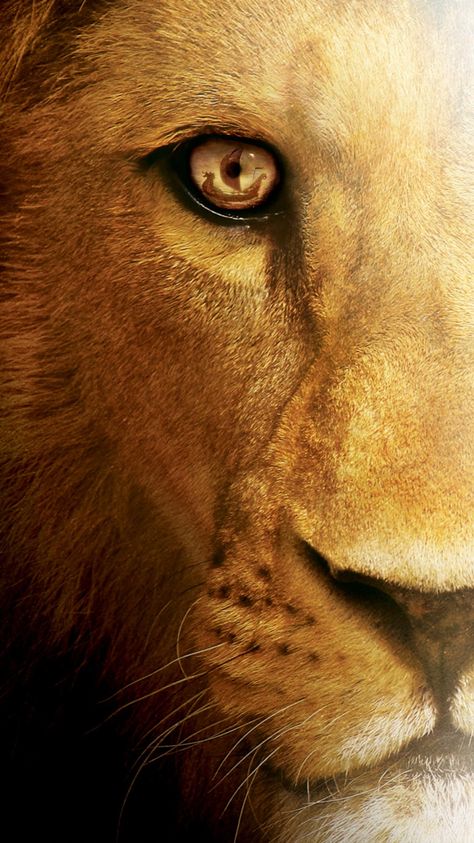 2010 Phone, Narnia Wallpaper, Narnia 1, Narnia Lion, Voyage Of The Dawn Treader, The Dawn Treader, Narnia Movies, Dawn Treader, Narnia 3