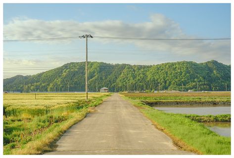 Japan Countryside, Japanese Countryside, Fotografi Vintage, Scenery Photography, Back Ground, Japan Aesthetic, Aesthetic Japan, Nature Aesthetic, Photo Reference