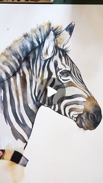 Zebra Watercolor, Zebra Painting, Watercolour Techniques, Glowing Effect, Yellow Ochre, Watercolour Tutorials, Watercolor Techniques, Watercolor Animals, Zebras